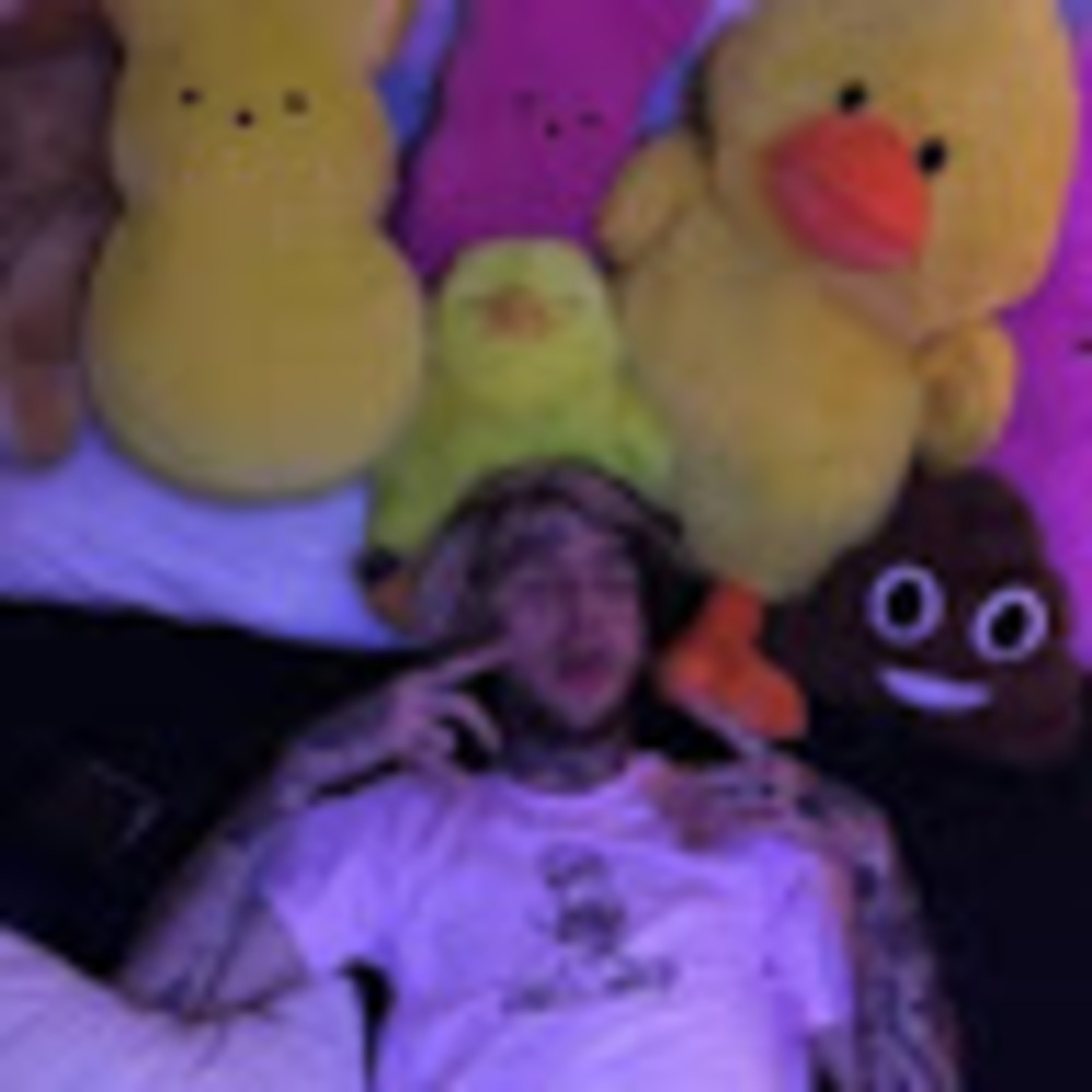 Meet your Posher, Hailey